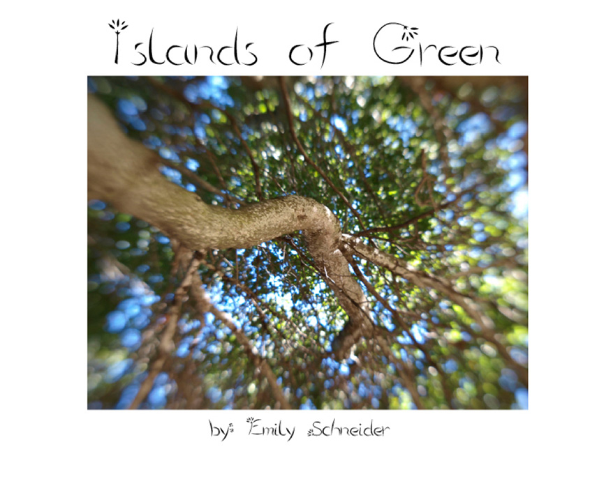 Book by Emily Schneider